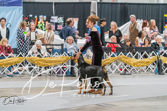 20260928-DSC06136