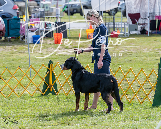 20230513-DSC00787