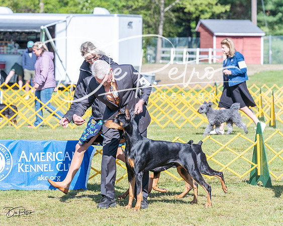 20230514-DSC03434