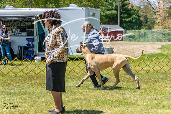 20230514-DSC08002
