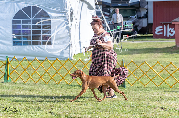 20230513-DSC02199