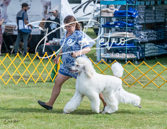 20230513-DSC00326