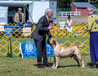 20230514-DSC03637