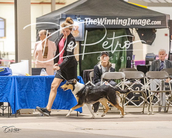 20230401-DSC07852