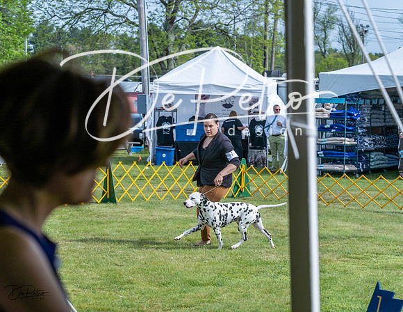 20230513-DSC00456