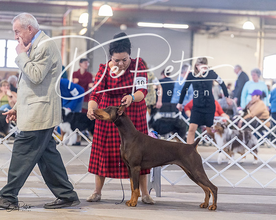 20230401-DSC06606
