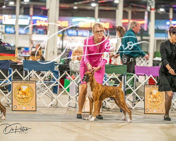 20261022-DSC01702