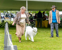 20230427-DSC03046