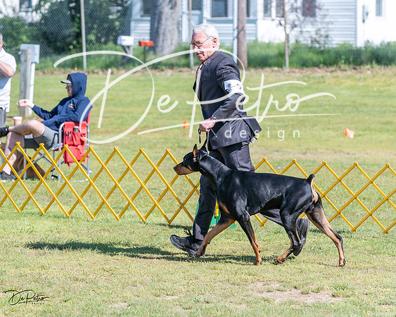 20230514-DSC03443