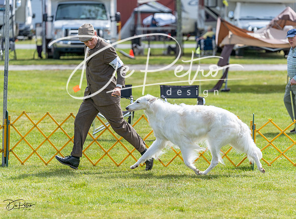 20230513-DSC09421