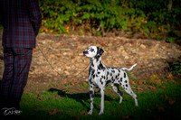 20261017-DSC08883