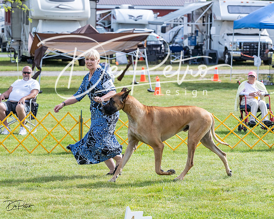 20230513-DSC00739