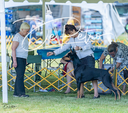 20230513-DSC08818