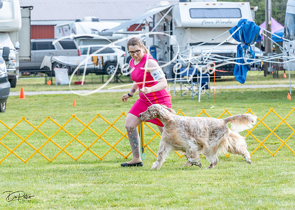 20230512-DSC06739