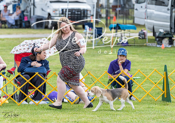 20230512-DSC03806