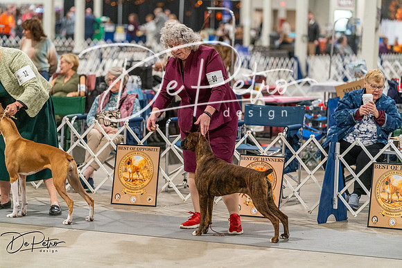 20261023-DSC05061