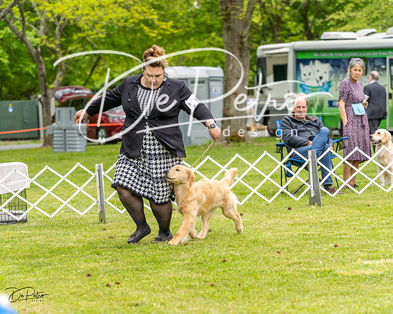 20230427-DSC03476
