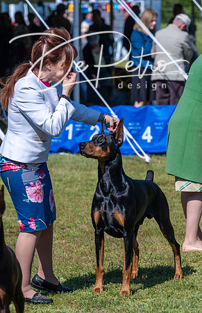 20230514-DSC03473