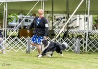 20230427-DSC06687