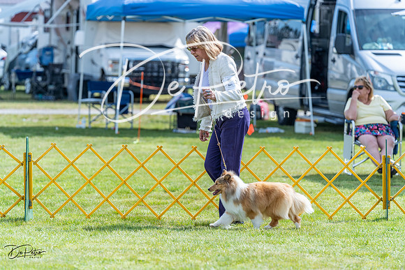 20230512-DSC05502
