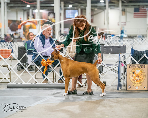 20261022-DSC01870