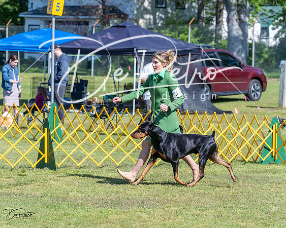 20230514-DSC03313