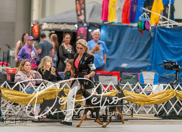20260926-DSC05012