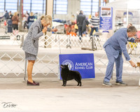 20230331-DSC05977