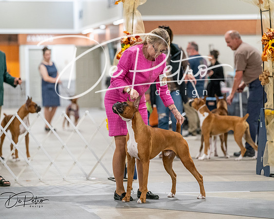 20261022-DSC02818