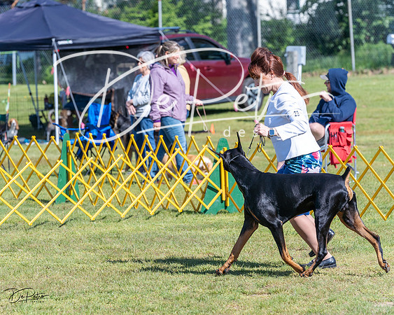 20230514-DSC03234