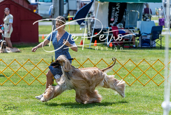 20230513-DSC09135