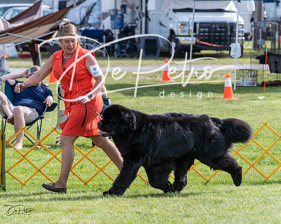 20230513-DSC00975