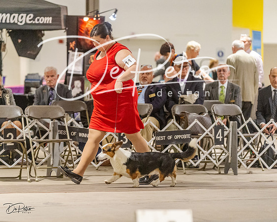 20230401-DSC08105