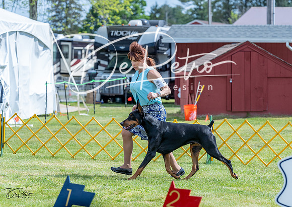 20230512-DSC04934
