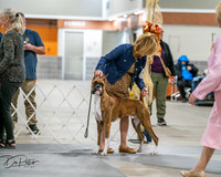 20261022-DSC02689