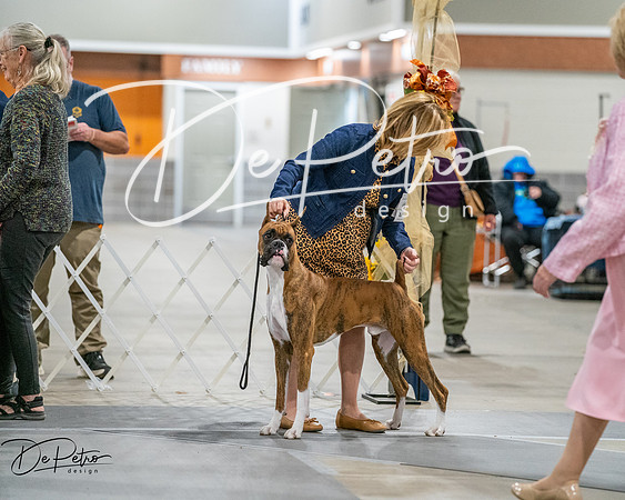 20261022-DSC02689