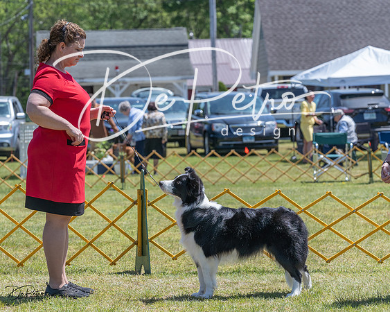 20230514-DSC04800