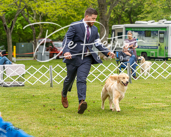 20230427-DSC03537