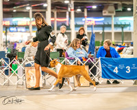 20261022-DSC01597