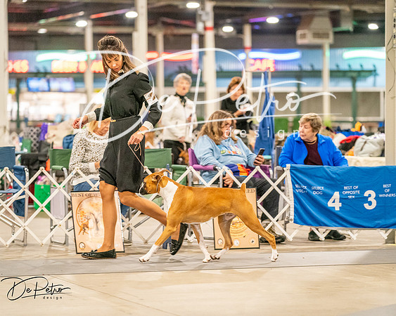 20261022-DSC01597