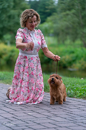 20260912-DSC03310