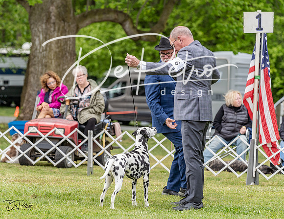 20230427-DSC07327