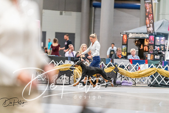 20260930-DSC07112