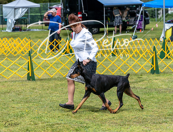 20230513-DSC08323