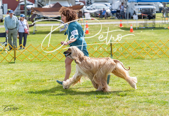 20230513-DSC09439