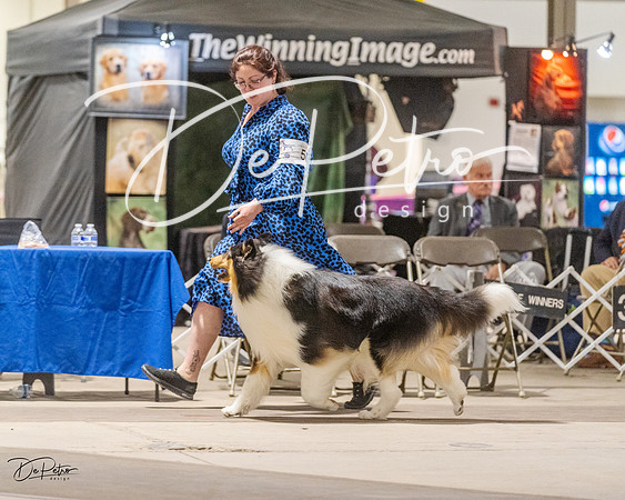 20230401-DSC07835