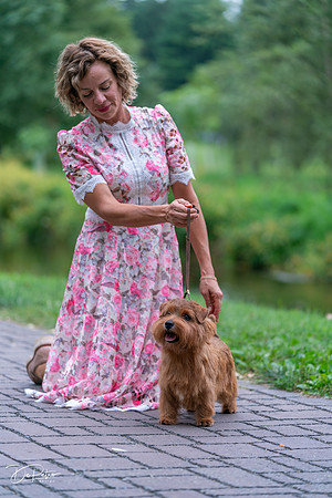 20260912-DSC03336