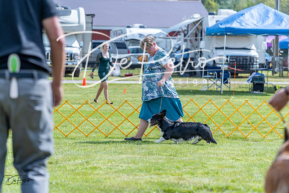 20230512-DSC05558