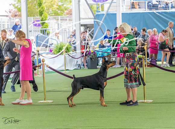 20230509-DSC01390