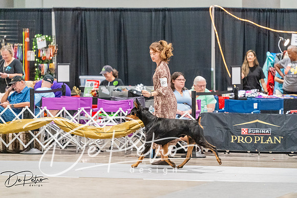 20261001-DSC07233